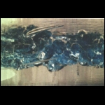 Geocore detail 3x5 in.jpg